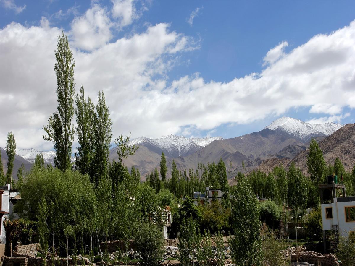 Hotel Mahay Palace Leh Luaran gambar