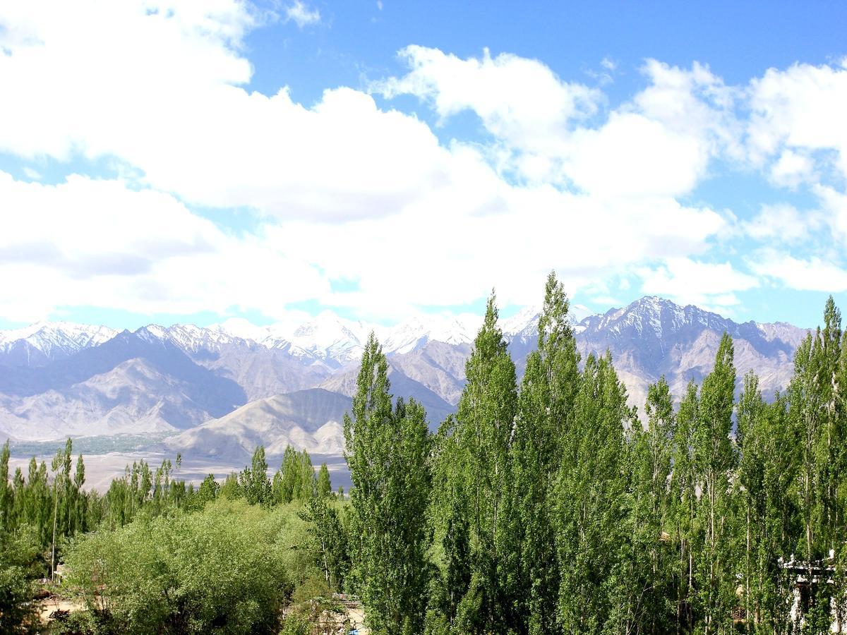 Hotel Mahay Palace Leh Luaran gambar