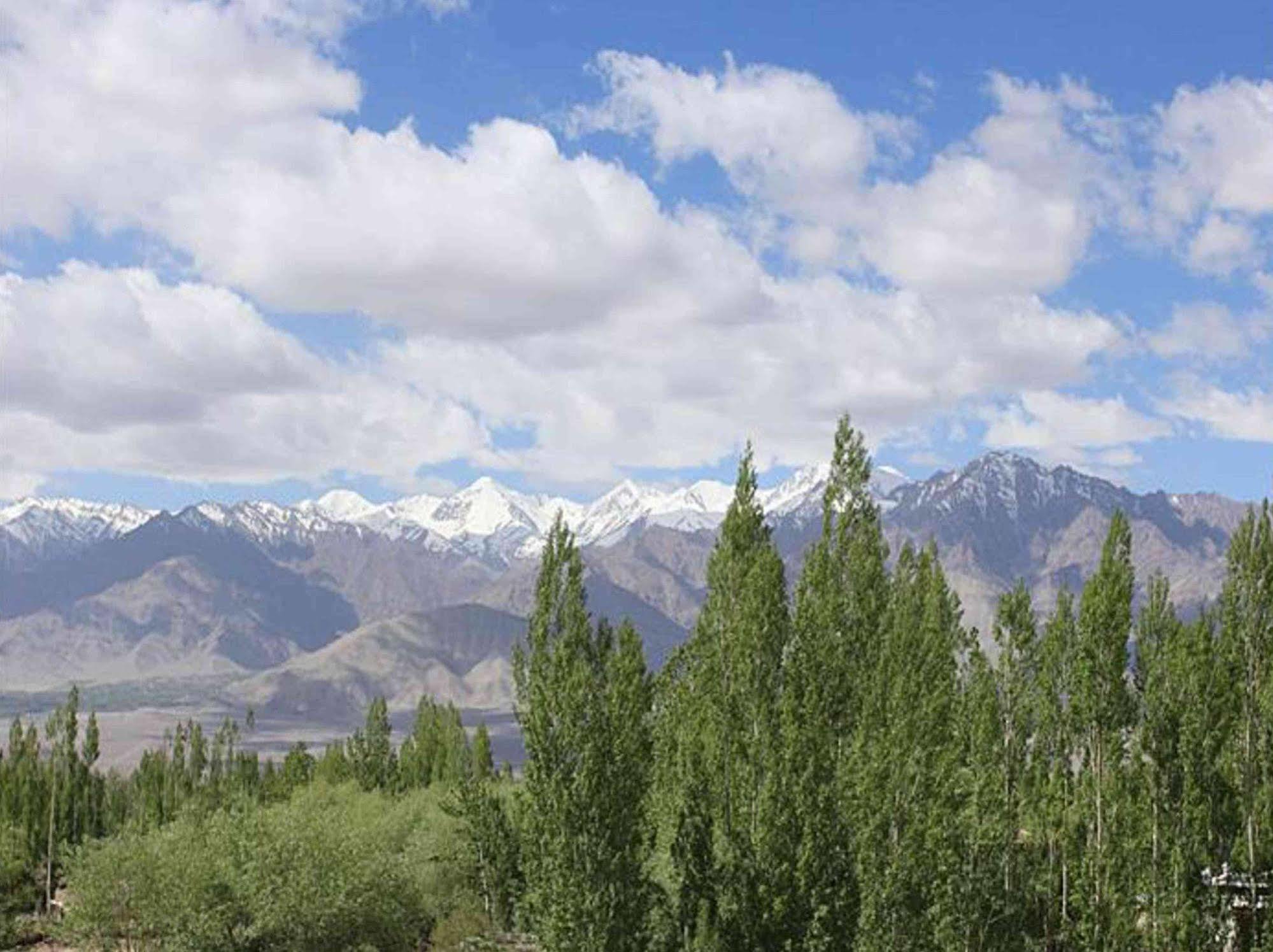 Hotel Mahay Palace Leh Luaran gambar